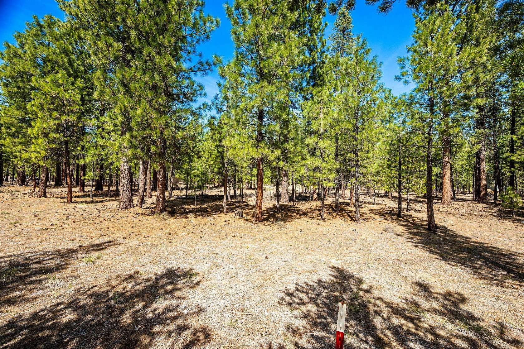 1.4 Acres of Residential Land for Sale in La Pine, Oregon
