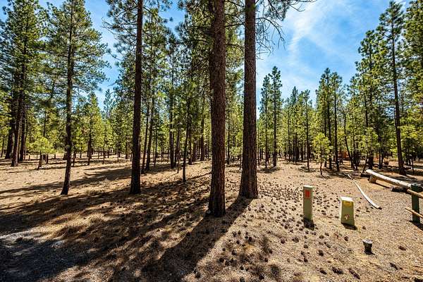 1.4 Acres of Residential Land for Sale in La Pine, Oregon