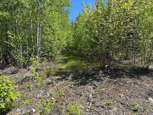 1 Acre of Land for Sale in Lee, Maine