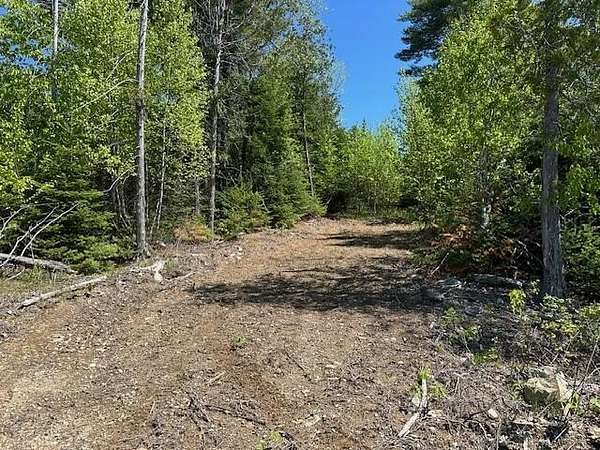 1.1 Acres of Land for Sale in Lee, Maine