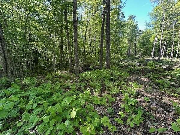 4.5 Acres of Residential Land for Sale in Stoddard, New Hampshire