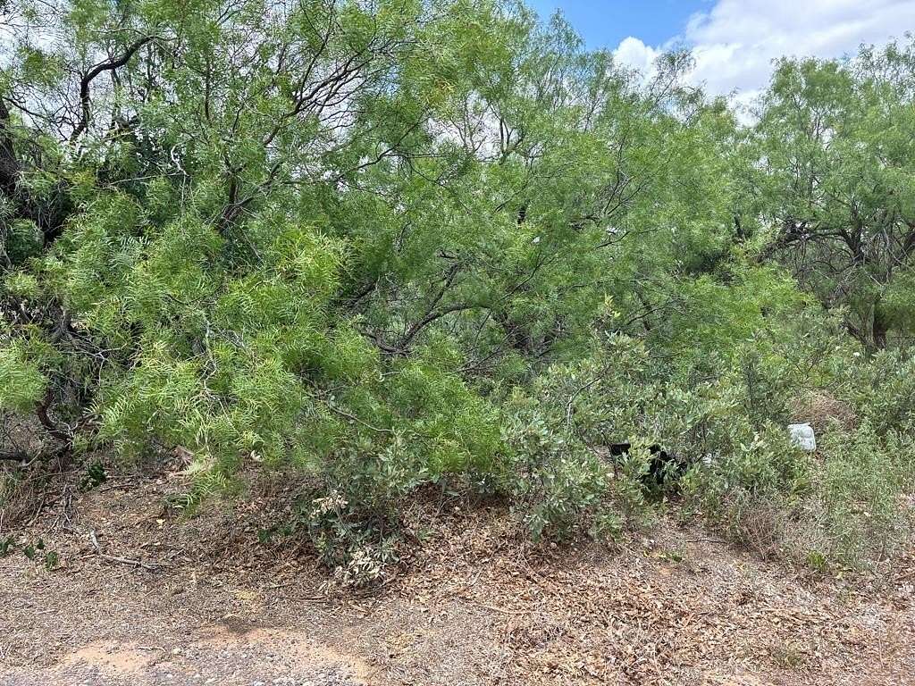0.96 Acres of Residential Land for Sale in Colorado City, Texas