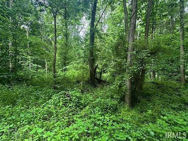 1.35 Acres of Land for Sale in Spencer, Indiana