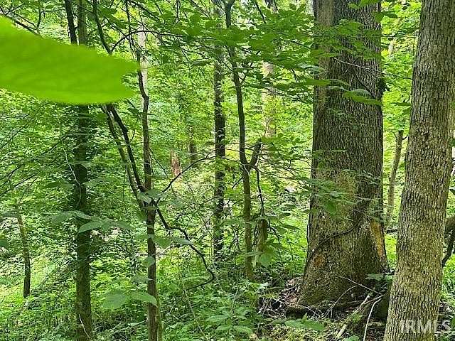 1.17 Acres of Residential Land for Sale in Spencer, Indiana