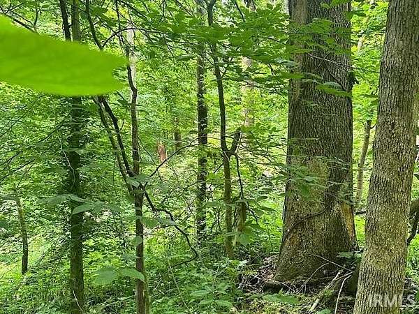 1.17 Acres of Residential Land for Sale in Spencer, Indiana