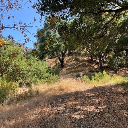 5.29 Acres of Residential Land for Sale in Morgan Hill, California