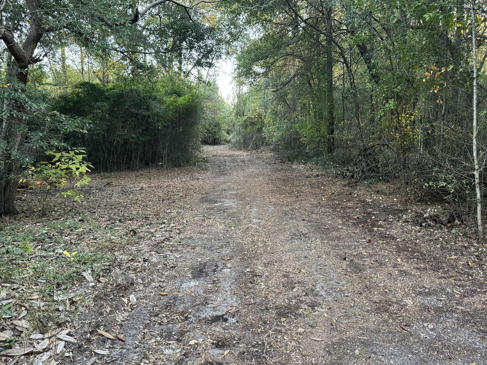 14.3 Acres of Land for Sale in Salley, South Carolina