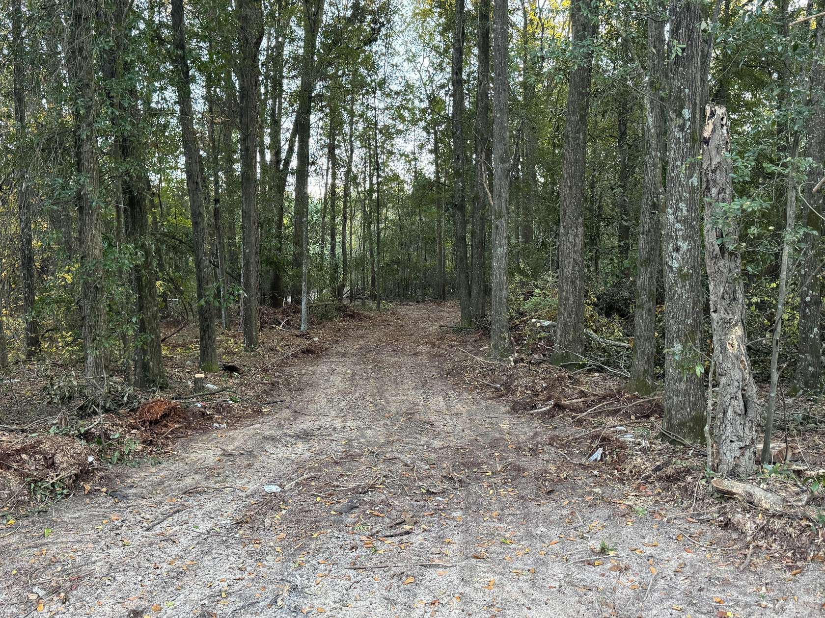 22.4 Acres of Agricultural Land for Sale in Salley, South Carolina