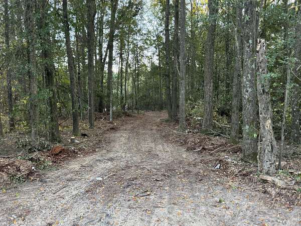 22.4 Acres of Agricultural Land for Sale in Salley, South Carolina