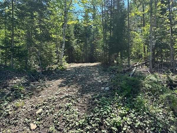 1 Acre of Land for Sale in Lee, Maine