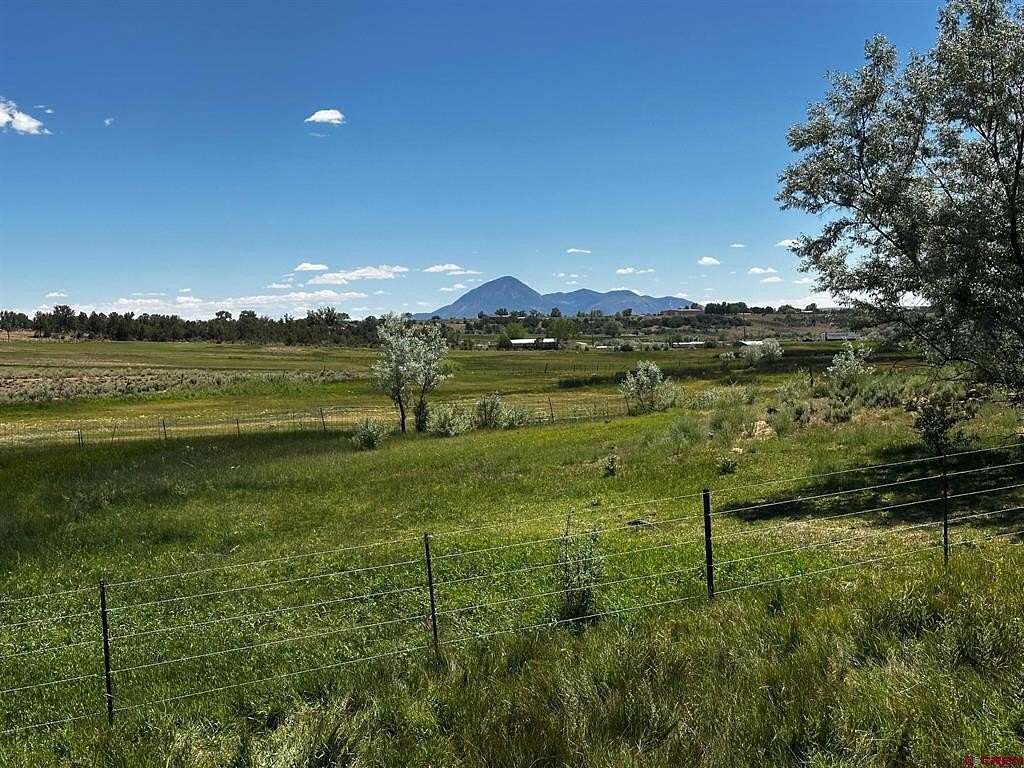 30 Acres of Agricultural Land for Sale in Lewis, Colorado