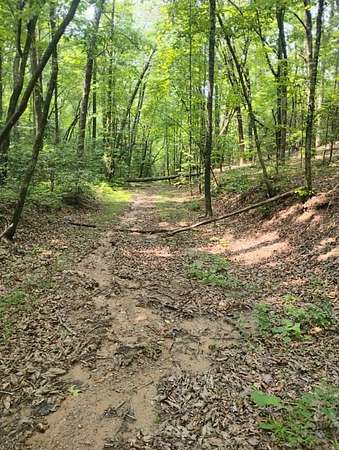 11.1 Acres of Recreational Land for Sale in Ellijay, Georgia