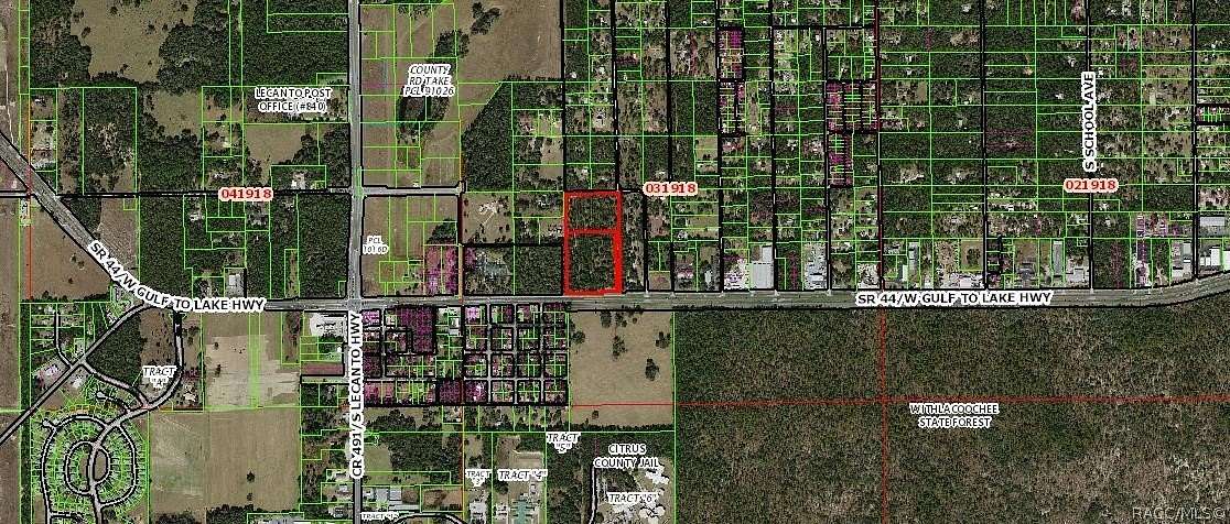 18.8 Acres of Commercial Land for Sale in Lecanto, Florida