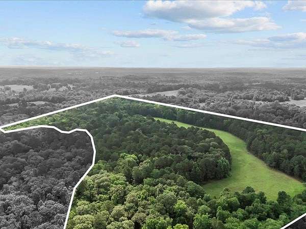 79.4 Acres of Recreational & Residential Land for Sale in Elkhart, Texas