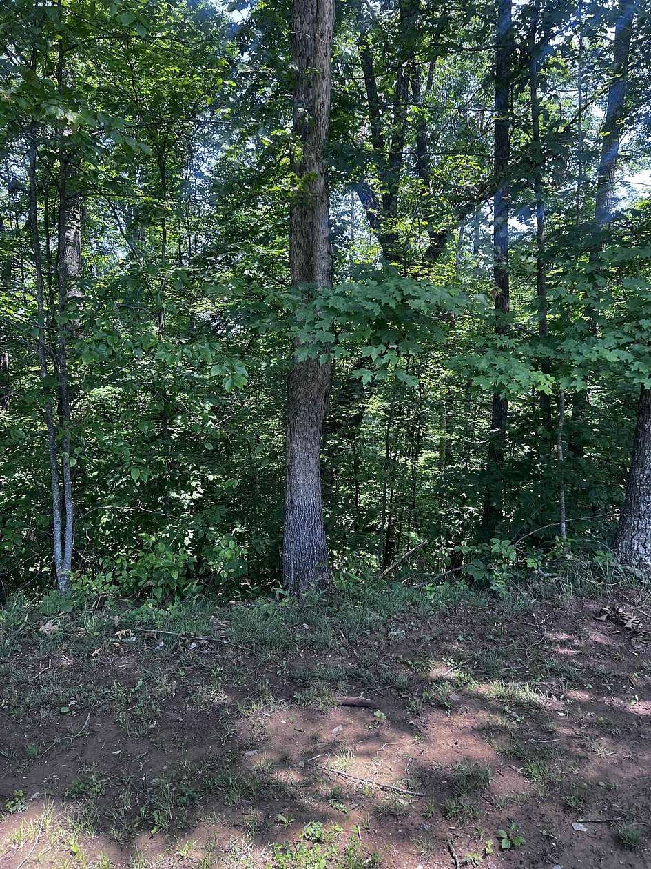 3 Acres of Residential Land for Sale in Ona, West Virginia