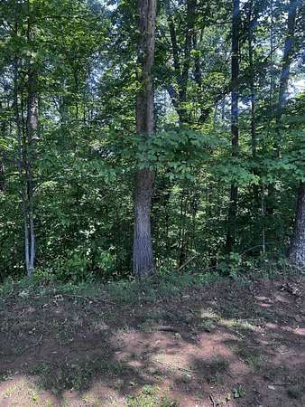 3 Acres of Residential Land for Sale in Ona, West Virginia