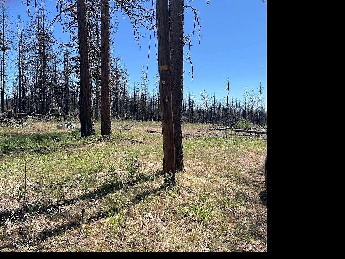2.29 Acres of Land for Sale in Bonanza, Oregon