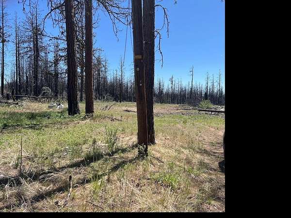 2.29 Acres of Land for Sale in Bonanza, Oregon