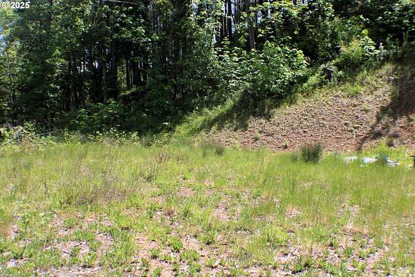 1 Acre of Residential Land for Sale in Riddle, Oregon