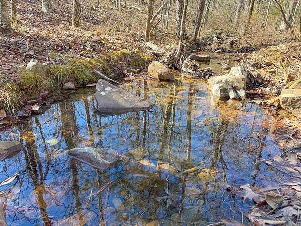 3.3 Acres of Residential Land for Sale in Mayflower, Arkansas