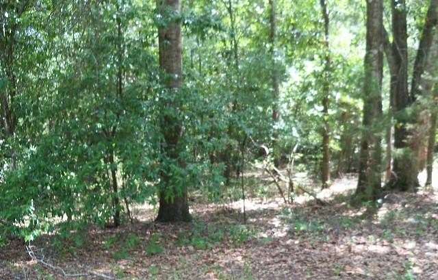 0.38 Acres of Residential Land for Sale in Lumpkin, Georgia