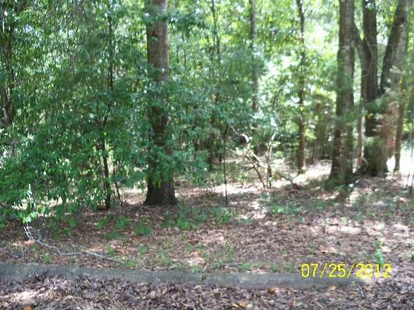 0.42 Acres of Land for Sale in Lumpkin, Georgia