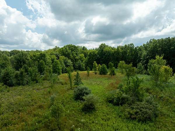 59 Acres of Recreational Land for Sale in East China Township, Michigan