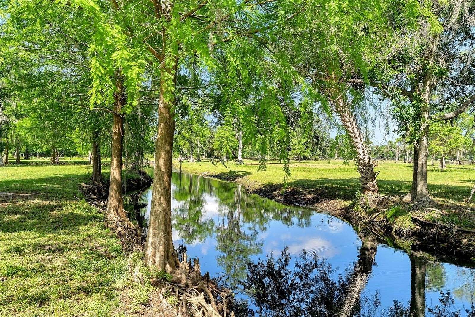 22 Acres of Land for Sale in Astatula, Florida