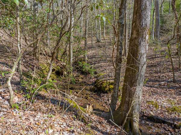 41.5 Acres of Recreational Land for Sale in Murphy, North Carolina