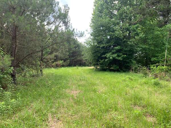 22 Acres of Land for Sale in Blountsville, Alabama