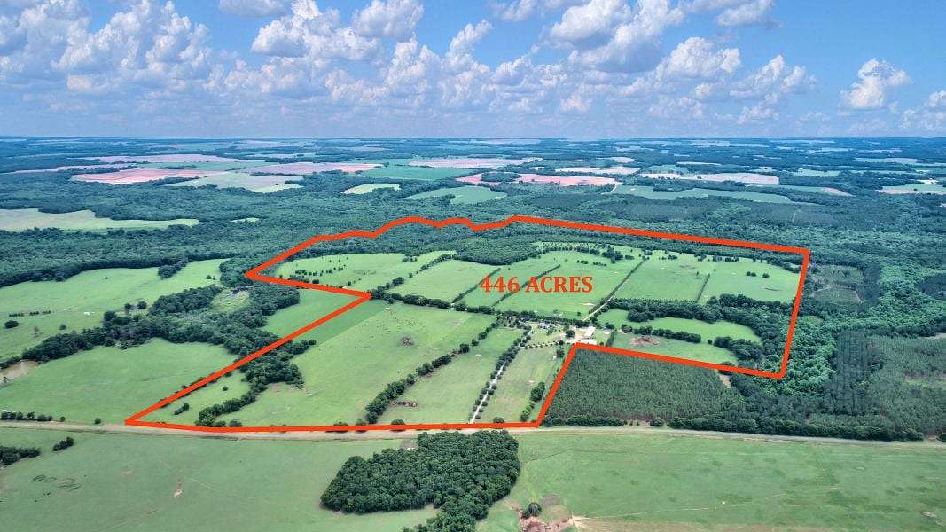 446 Acres of Land for Sale in Edison, Georgia