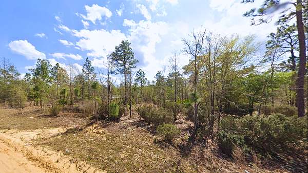 0.22 Acres of Residential Land for Sale in Interlachen, Florida