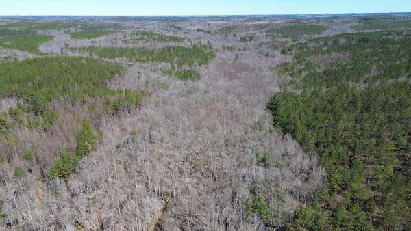 120 Acres of Recreational Land & Farm for Sale in Detroit, Alabama