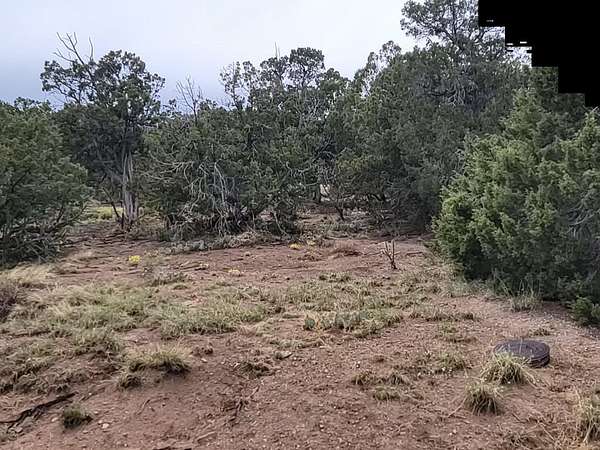 2 Acres of Residential Land for Sale in Moriarty, New Mexico