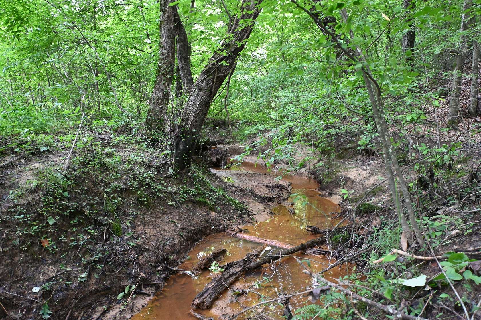 65.8 Acres of Recreational Land for Sale in Decaturville, Tennessee