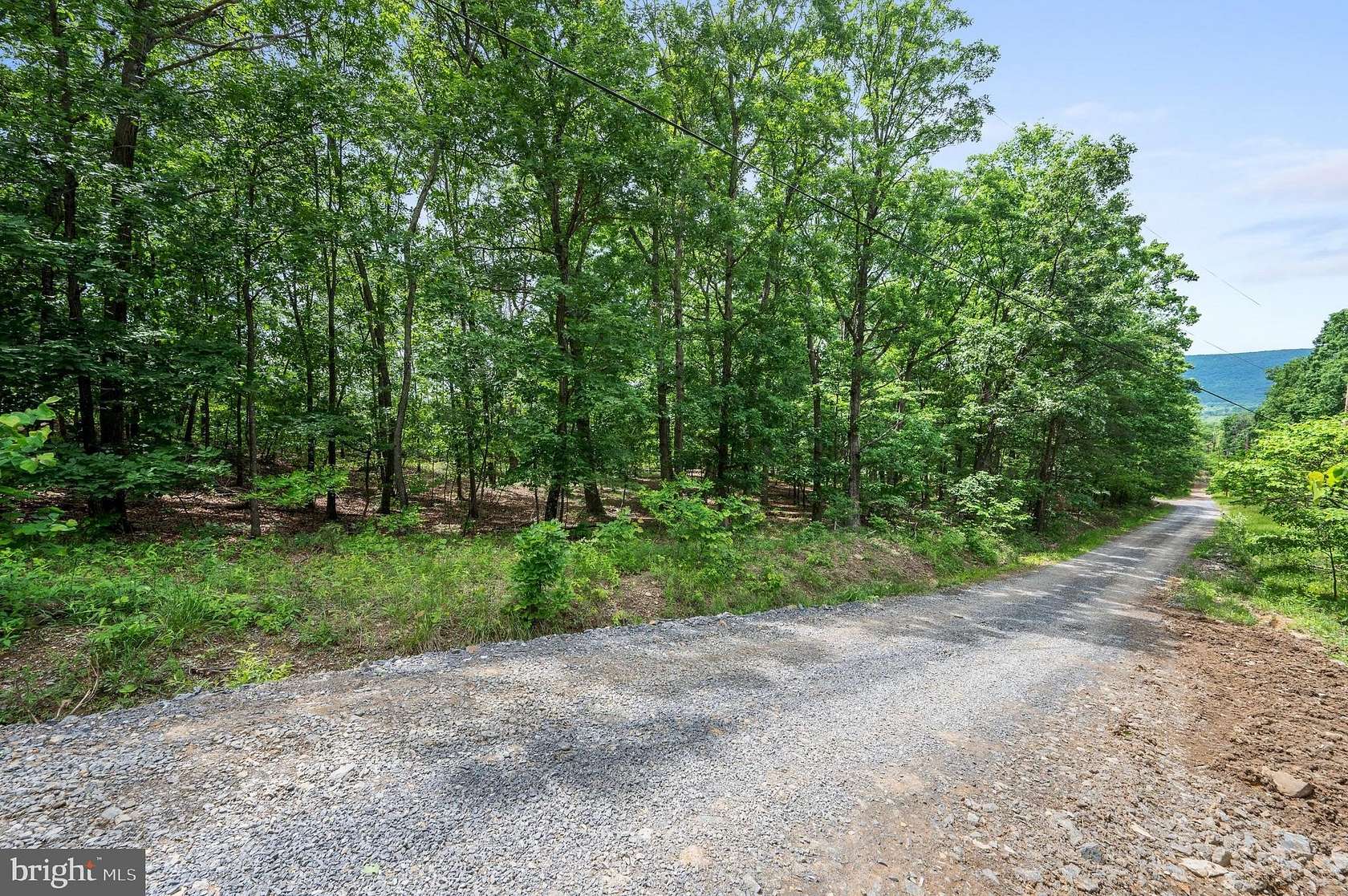 0.69 Acres of Residential Land for Sale in Winchester, Virginia