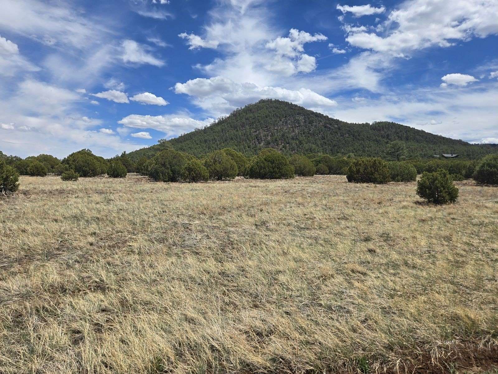 10 Acres of Residential Land for Sale in Pinetop, Arizona