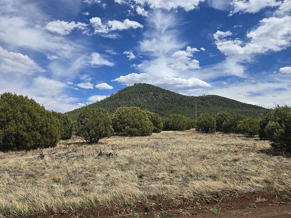10 Acres of Residential Land for Sale in Pinetop, Arizona
