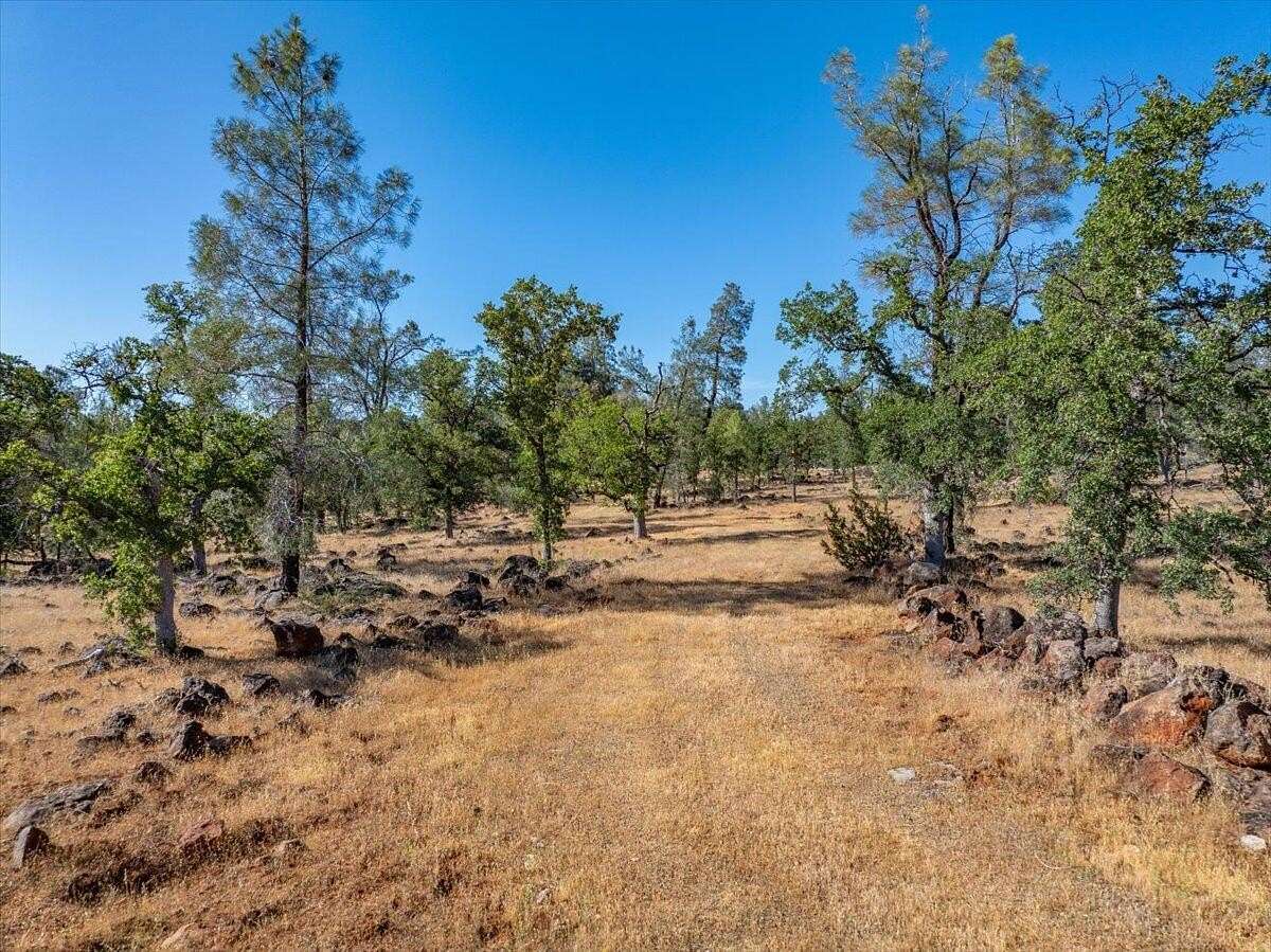 127 Acres of Recreational Land & Farm for Sale in Anderson, California