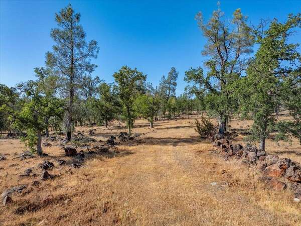 127 Acres of Recreational Land & Farm for Sale in Anderson, California