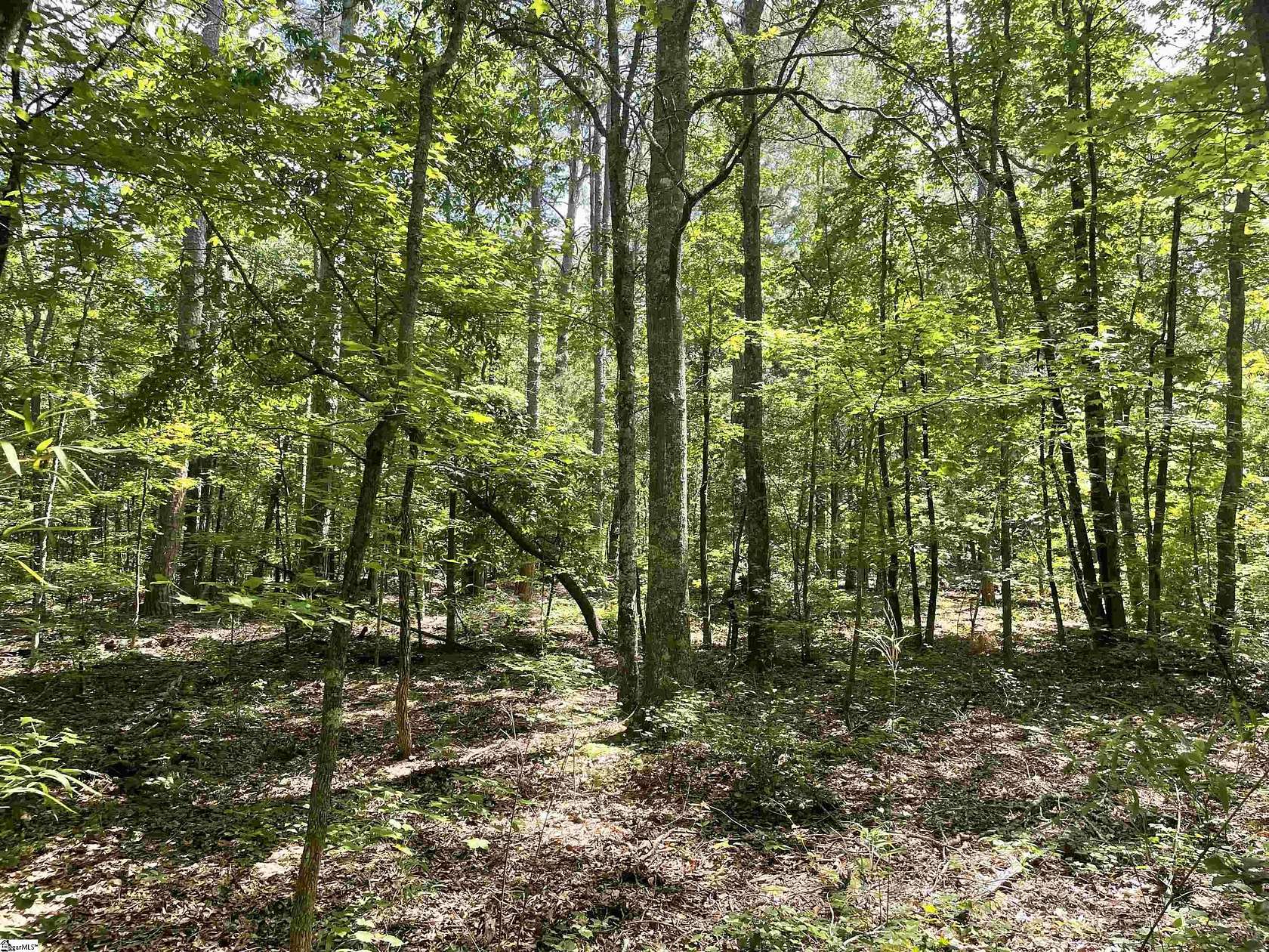 7.4 Acres of Land for Sale in Honea Path, South Carolina