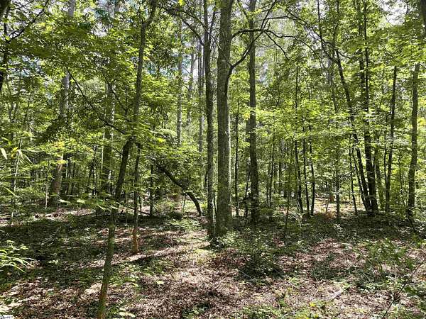 7.4 Acres of Land for Sale in Honea Path, South Carolina
