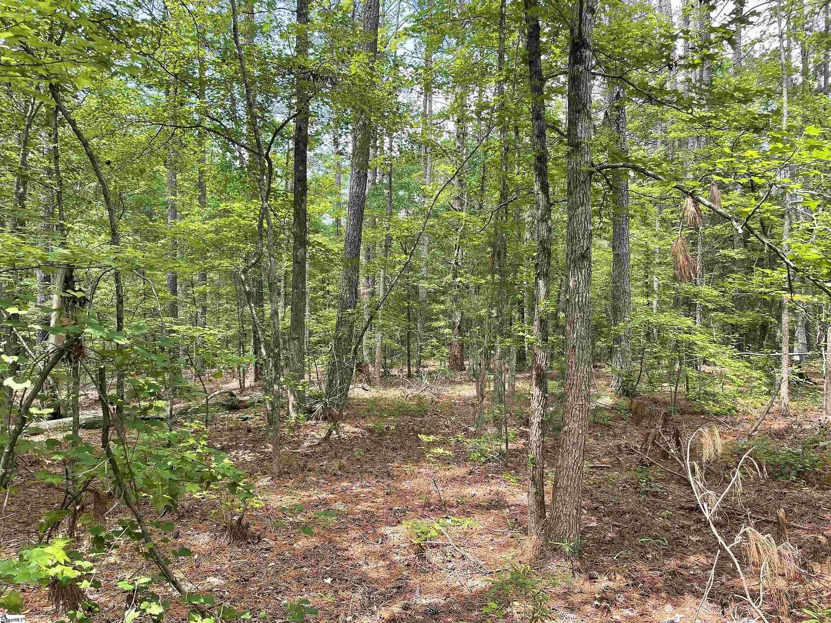 8.79 Acres of Land for Sale in Honea Path, South Carolina