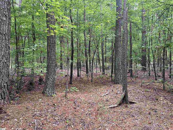 6.46 Acres of Land for Sale in Honea Path, South Carolina