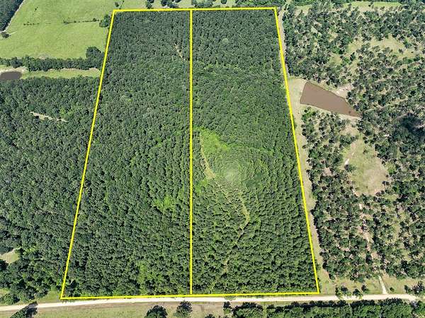 24 Acres of Recreational Land for Sale in Pennington, Texas
