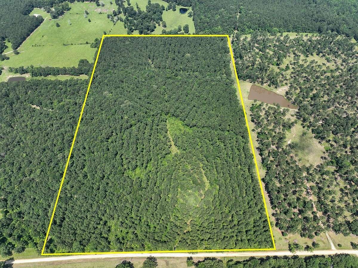 48 Acres of Recreational Land for Sale in Pennington, Texas