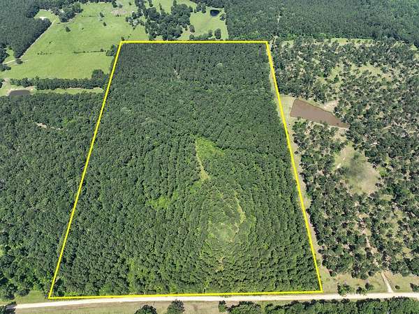 48 Acres of Recreational Land for Sale in Pennington, Texas