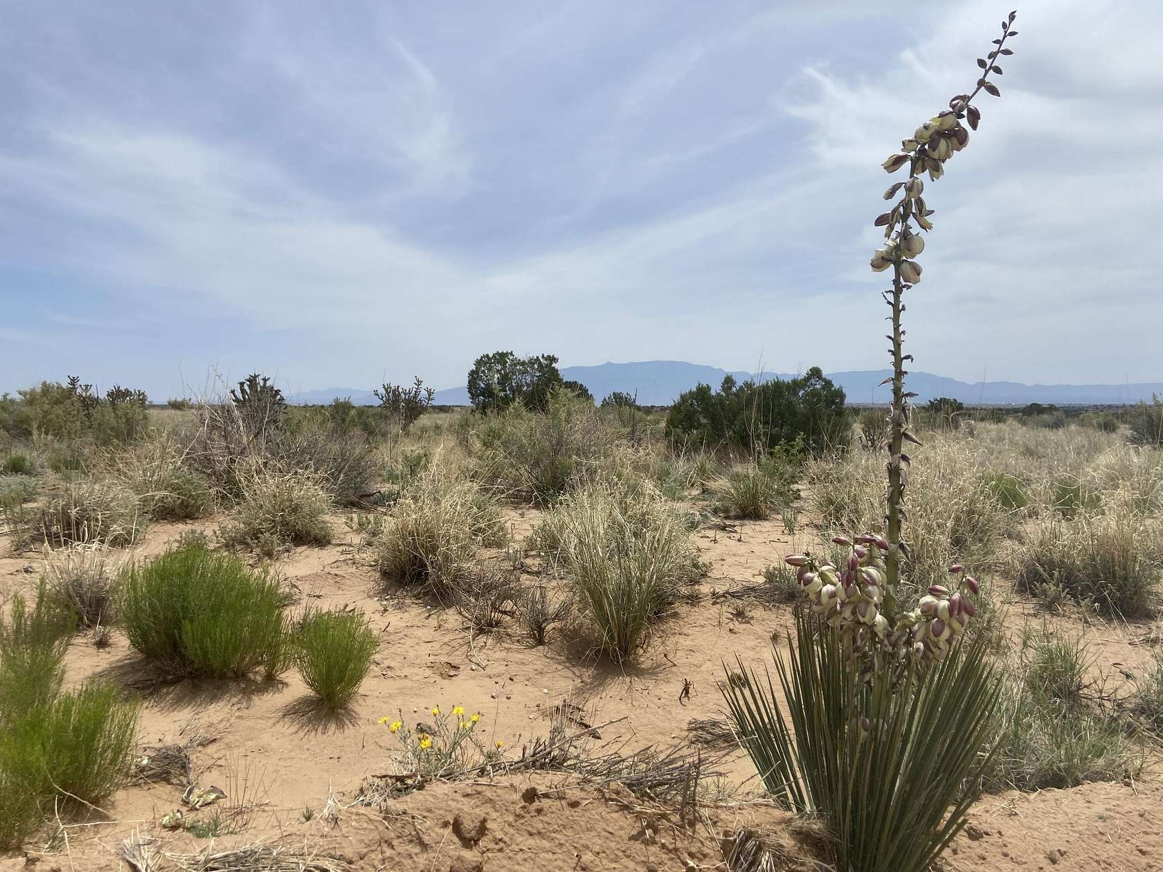 0.5 Acres of Residential Land for Sale in Rio Rancho, New Mexico