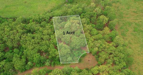 1 Acre of Residential Land for Sale in Elizabeth, Arkansas