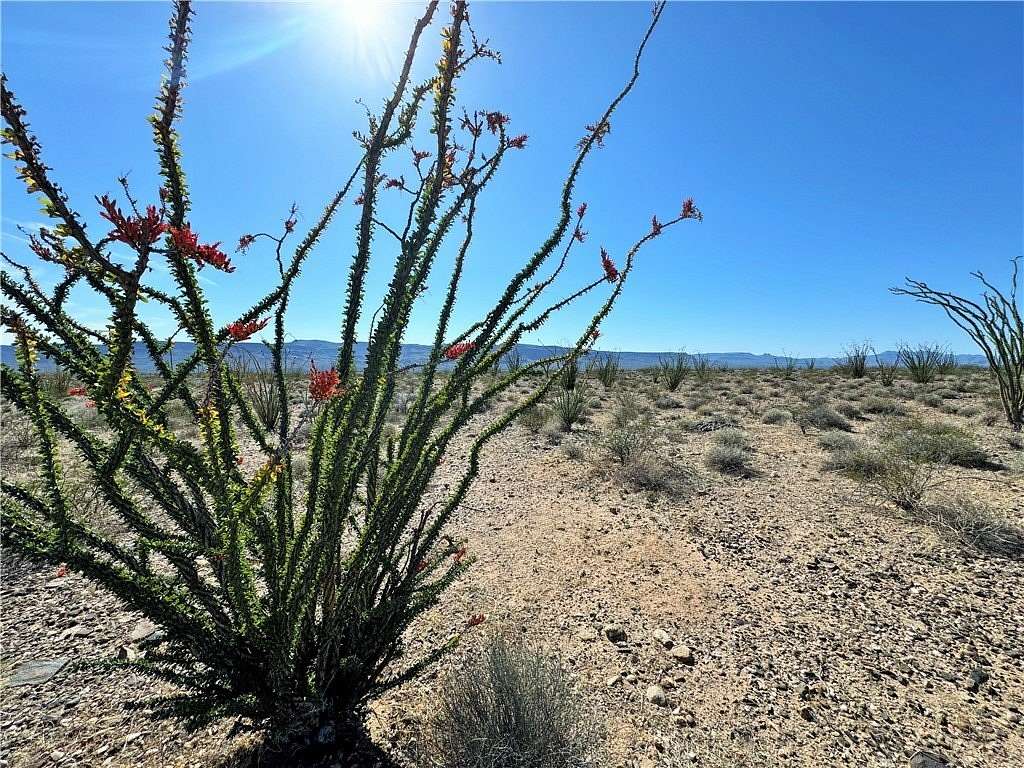 40 Acres of Land for Sale in Yucca, Arizona